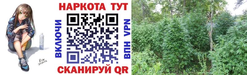 Где можно купить наркотики Ступино Кокаин  Меф  Бошки Шишки 
