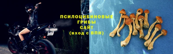 стафф Заречный