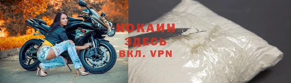 соль ск Пересвет