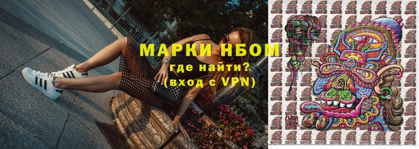 стафф Заречный