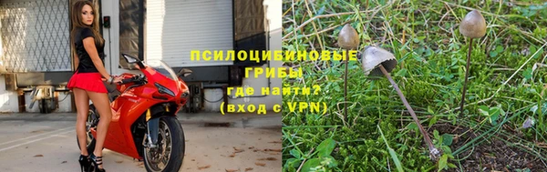 герыч Пестово