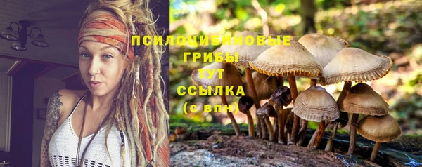 соль ск Пересвет