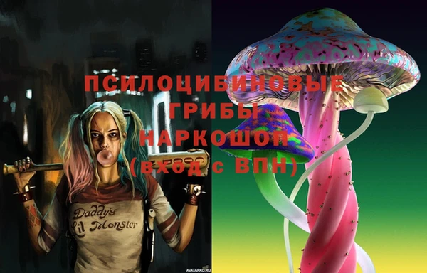 соль ск Пересвет