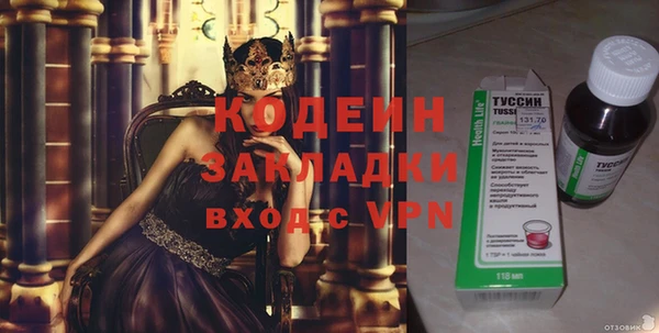 соль ск Пересвет