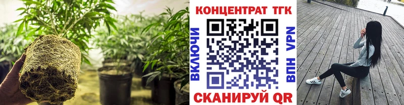 блэк спрут   Ступино  Дистиллят ТГК вейп 