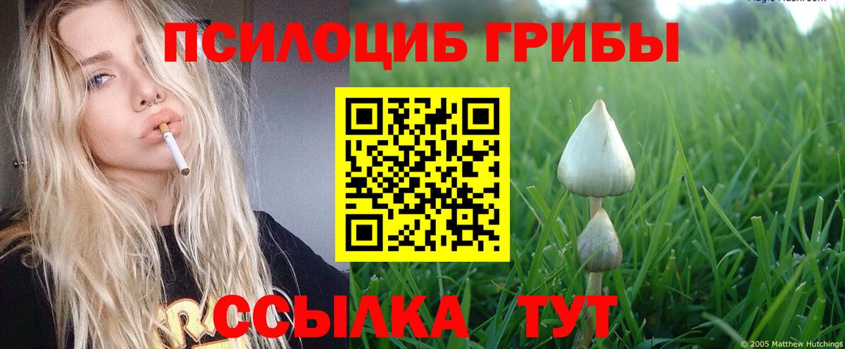 Ступино  Псилоцибиновые грибы Cubensis  Вход с VPN 
